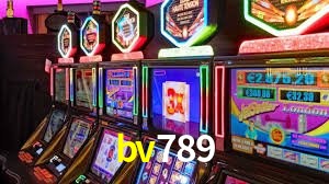 Programa VIP bv789